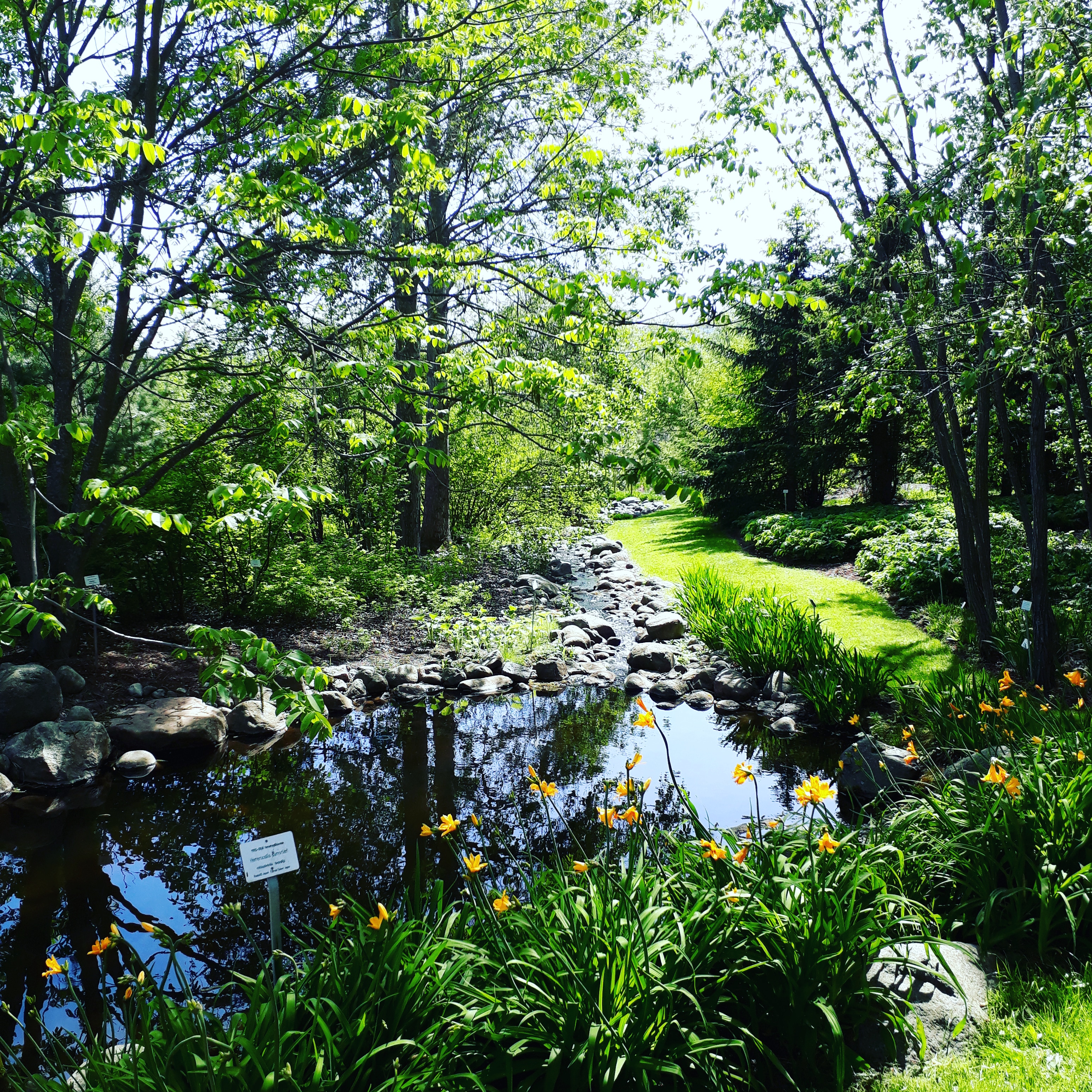 IMG_20180526_130026_064