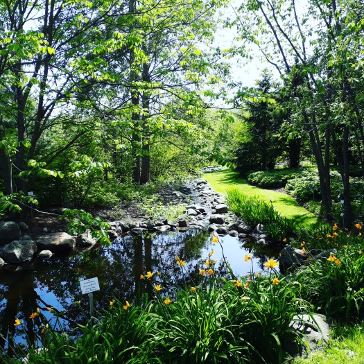 IMG_20180526_130026_064