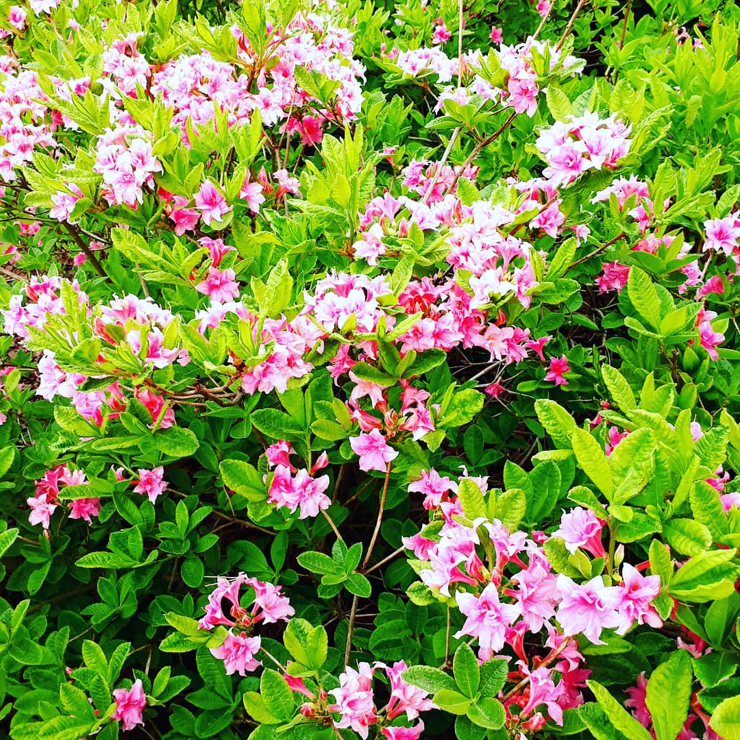 IMG_20180605_192827_358