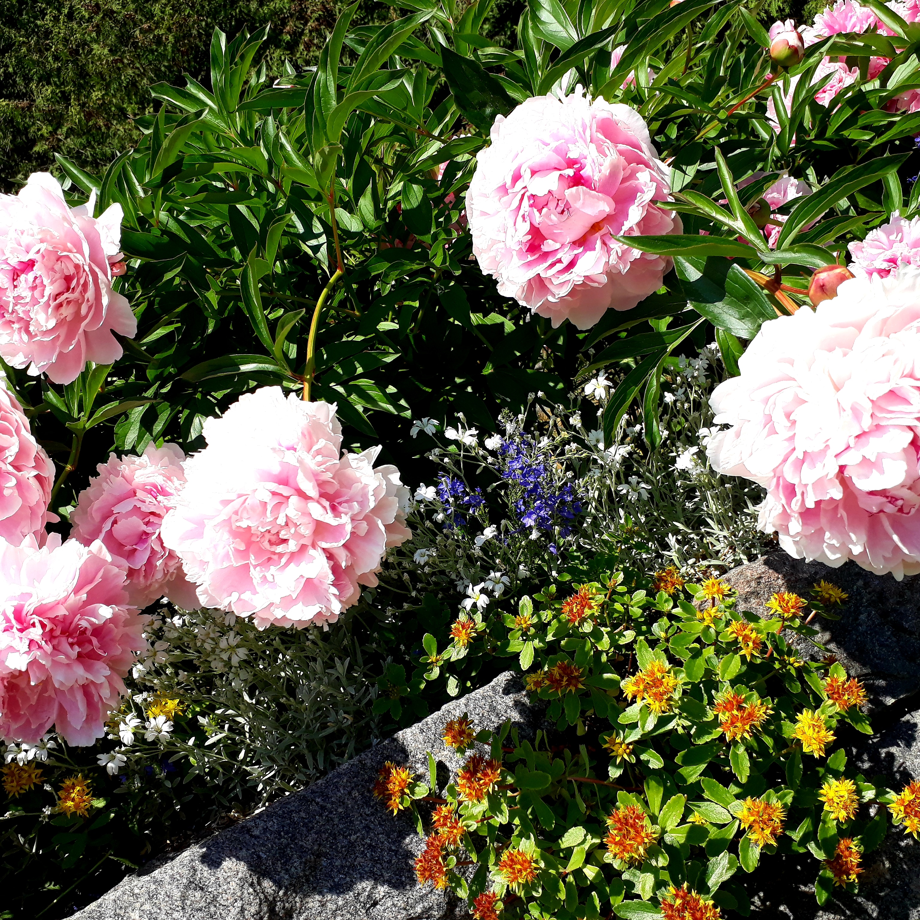 IMG_20180617_165320_873