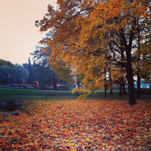 IMG_20181014_190807_638