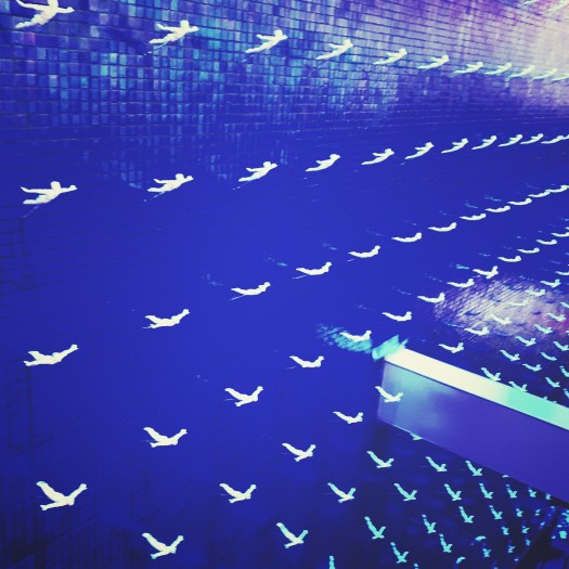 IMG_20181027_152717_251