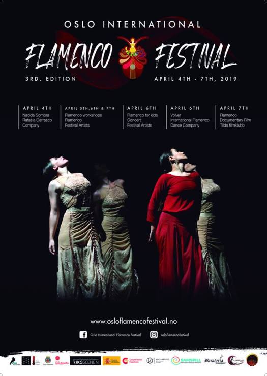 50762676_1516622348472383_529370928438575104_n