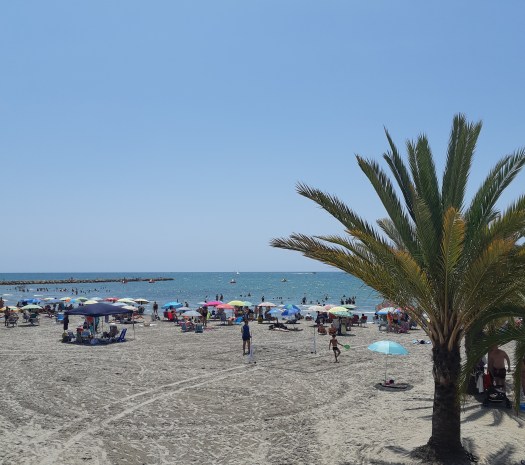 IMG_20190802_163924_509