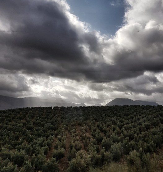 172095ec-d6ae-4ac1-97e7-c44fead10759