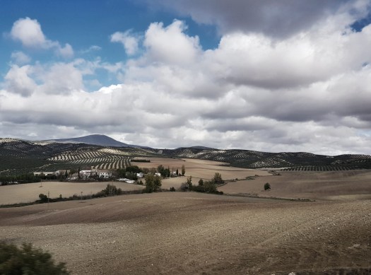 7715a207-89f0-491d-990d-f1d0e387c511