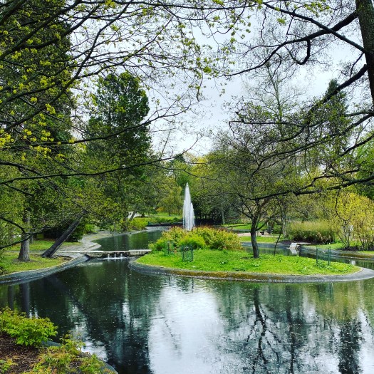 53AFDE5E-A02B-47D8-BAB3-B82B3BDC0DEE