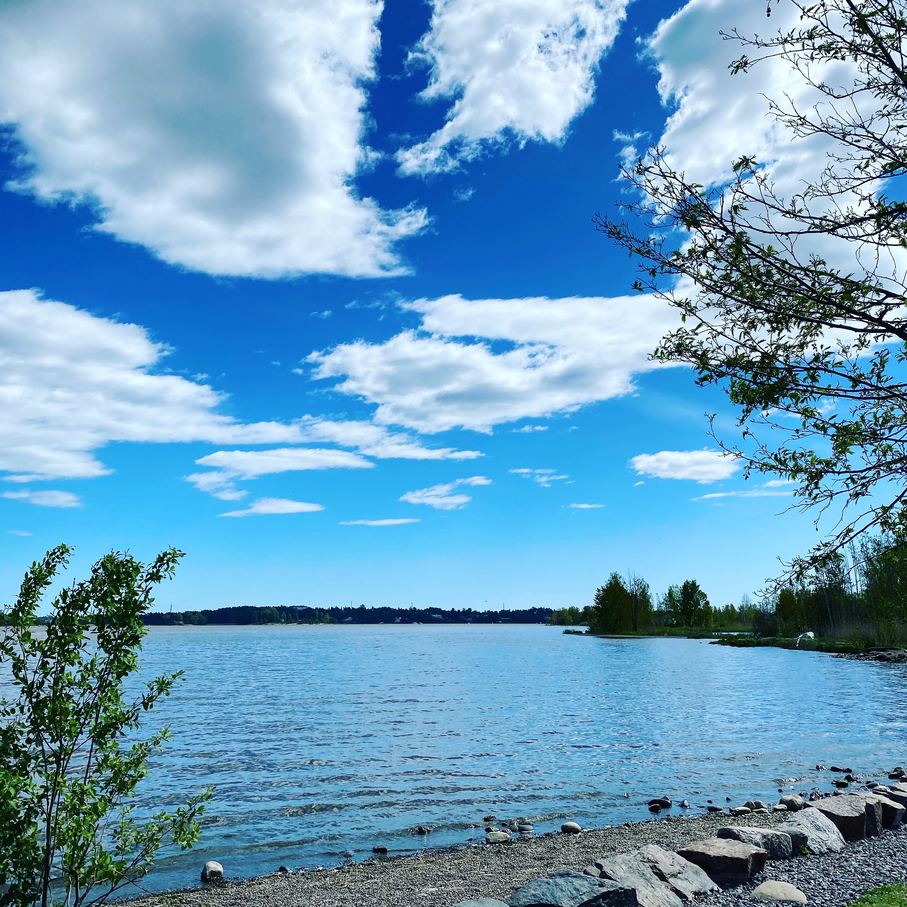 2CC08097-58A7-476C-AF35-67017E556E5B-Original