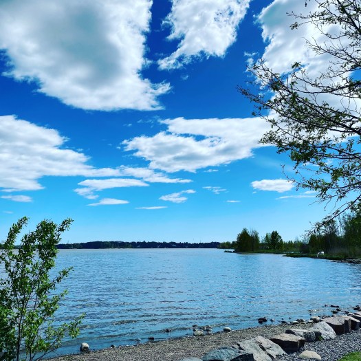 2CC08097-58A7-476C-AF35-67017E556E5B-Original