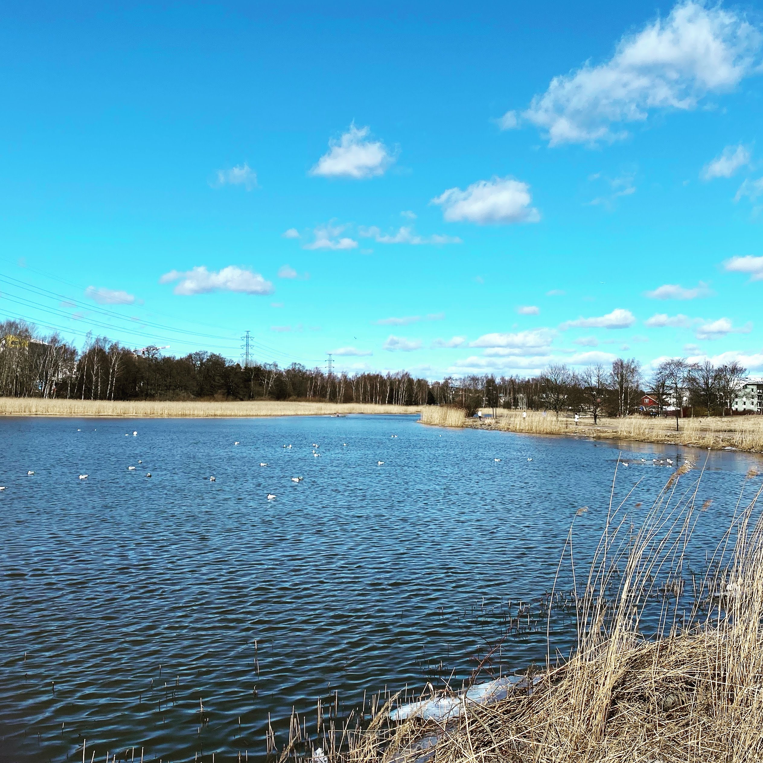 9A262EF9-1CF1-4E1C-831A-BAB7DE90DD1C-Original