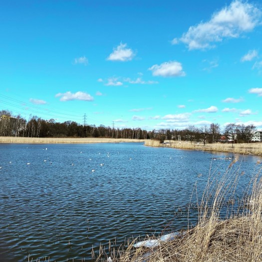 9A262EF9-1CF1-4E1C-831A-BAB7DE90DD1C-Original